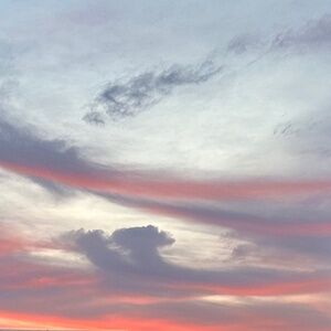 Meet your Posher, Reese